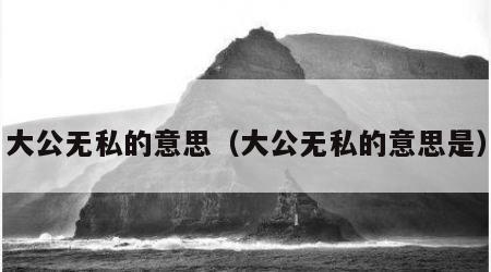 大公无私的意思（大公无私的意思是）