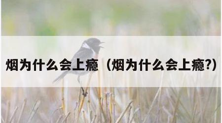 烟为什么会上瘾（烟为什么会上瘾?）