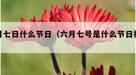 六月七日什么节日（六月七号是什么节日视频）