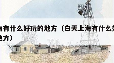 上海有什么好玩的地方（白天上海有什么好玩的地方）