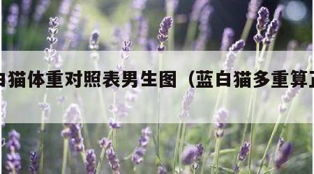 蓝白猫体重对照表男生图（蓝白猫多重算正常）