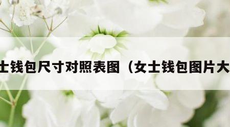 女士钱包尺寸对照表图（女士钱包图片大全）