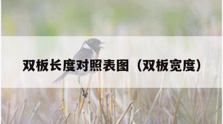 双板长度对照表图（双板宽度）