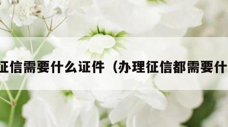 办征信需要什么证件（办理征信都需要什么）