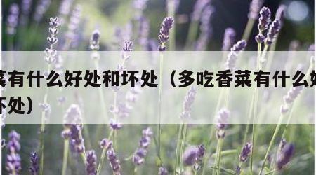 香菜有什么好处和坏处（多吃香菜有什么好处和坏处）