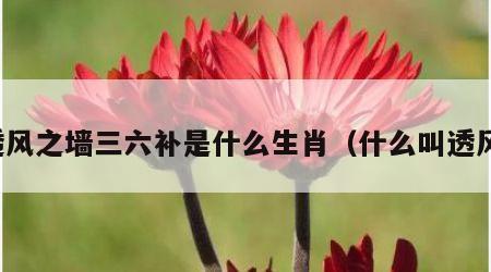 透风之墙三六补是什么生肖（什么叫透风）