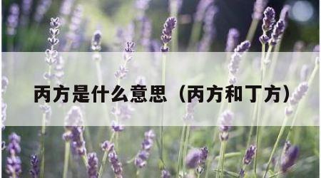 丙方是什么意思（丙方和丁方）