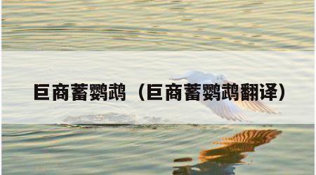 巨商蓄鹦鹉（巨商蓄鹦鹉翻译）