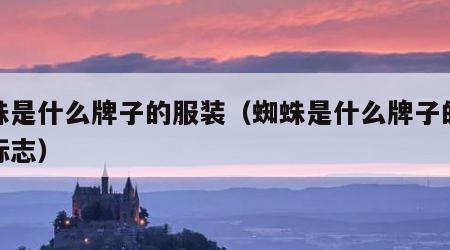 蜘蛛是什么牌子的服装（蜘蛛是什么牌子的服装标志）