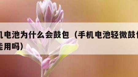 手机电池为什么会鼓包（手机电池轻微鼓包了还能用吗）