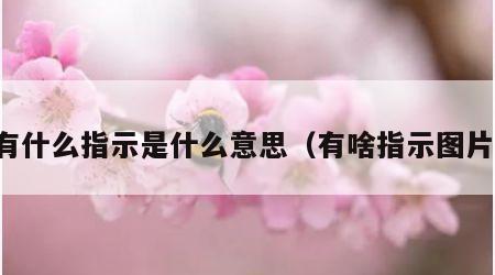 有什么指示是什么意思（有啥指示图片）