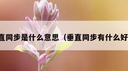 垂直同步是什么意思（垂直同步有什么好处）