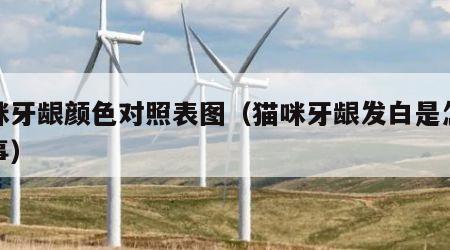 猫咪牙龈颜色对照表图（猫咪牙龈发白是怎么回事）