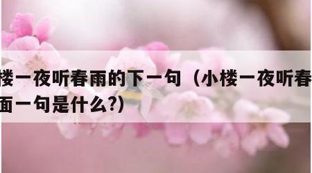 小楼一夜听春雨的下一句（小楼一夜听春雨,后面一句是什么?）