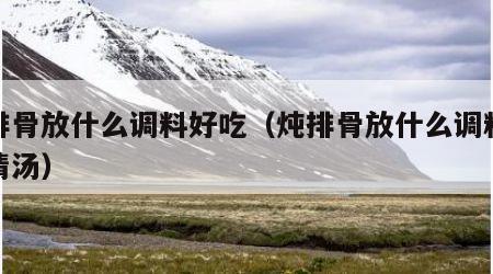 炖排骨放什么调料好吃（炖排骨放什么调料好吃清汤）