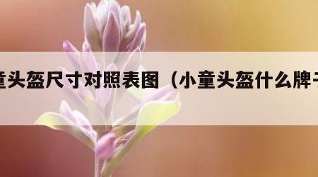 小童头盔尺寸对照表图（小童头盔什么牌子好）