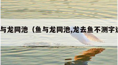 鱼与龙同池（鱼与龙同池,龙去鱼不测字迷?）
