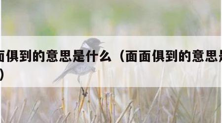 面面俱到的意思是什么（面面俱到的意思是什么?）