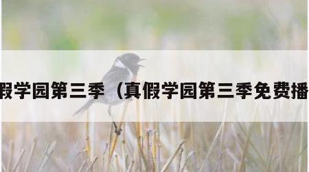 真假学园第三季（真假学园第三季免费播放）