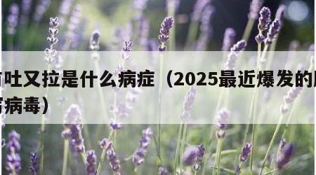 有吐又拉是什么病症（2025最近爆发的腹泻病毒）