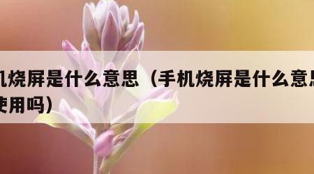 手机烧屏是什么意思（手机烧屏是什么意思影响使用吗）