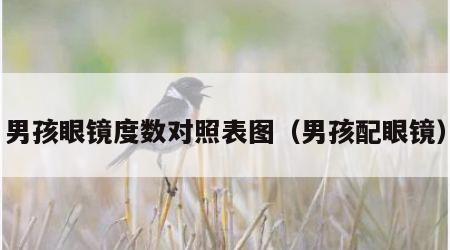 男孩眼镜度数对照表图（男孩配眼镜）