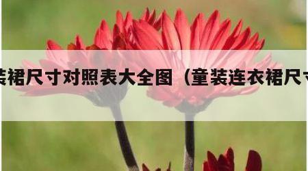 童装裙尺寸对照表大全图（童装连衣裙尺寸大全）