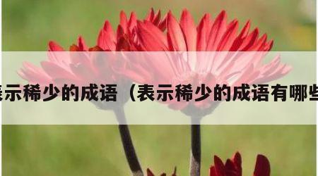表示稀少的成语（表示稀少的成语有哪些）