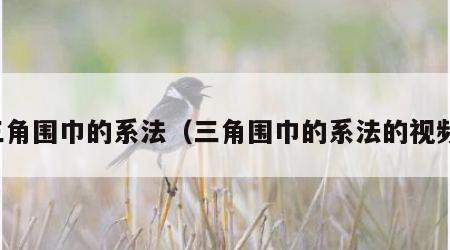 三角围巾的系法（三角围巾的系法的视频）