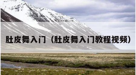肚皮舞入门（肚皮舞入门教程视频）