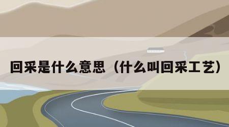 回采是什么意思（什么叫回采工艺）