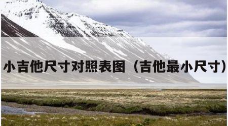 小吉他尺寸对照表图（吉他最小尺寸）