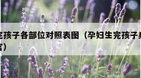 生完孩子各部位对照表图（孕妇生完孩子身体器官）