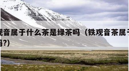 铁观音属于什么茶是绿茶吗（铁观音茶属于绿茶吗?）