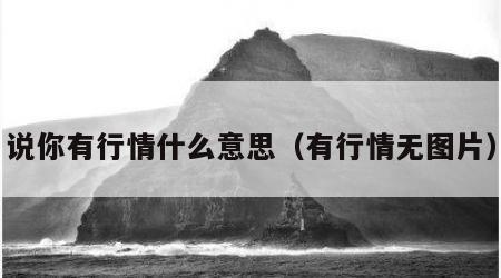 说你有行情什么意思（有行情无图片）