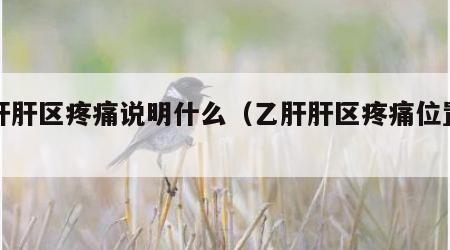 乙肝肝区疼痛说明什么（乙肝肝区疼痛位置图）