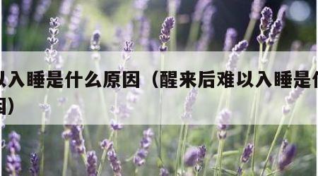 难以入睡是什么原因（醒来后难以入睡是什么原因）