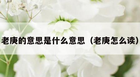 老庚的意思是什么意思（老庚怎么读）