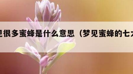 梦见很多蜜蜂是什么意思（梦见蜜蜂的七大预兆）