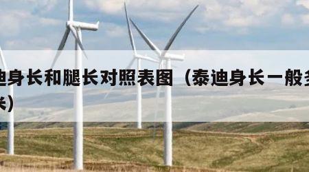 泰迪身长和腿长对照表图（泰迪身长一般多少厘米）