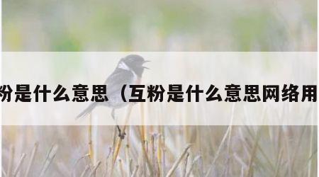 互粉是什么意思（互粉是什么意思网络用语）