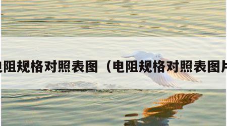 电阻规格对照表图（电阻规格对照表图片）