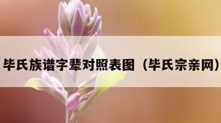 毕氏族谱字辈对照表图（毕氏宗亲网）