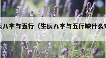 生辰八字与五行（生辰八字与五行缺什么对照表）