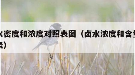 卤水密度和浓度对照表图（卤水浓度和含量对照表）