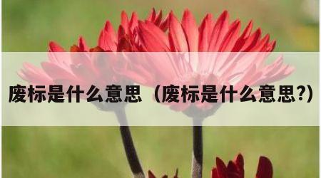废标是什么意思（废标是什么意思?）
