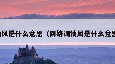 抽风是什么意思（网络词抽风是什么意思）
