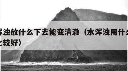 水浑浊放什么下去能变清澈（水浑浊用什么净化比较好）