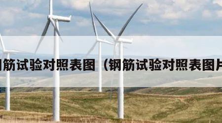 钢筋试验对照表图（钢筋试验对照表图片）