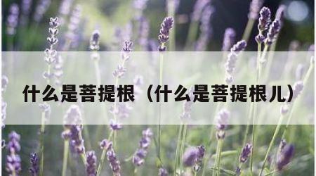 什么是菩提根（什么是菩提根儿）